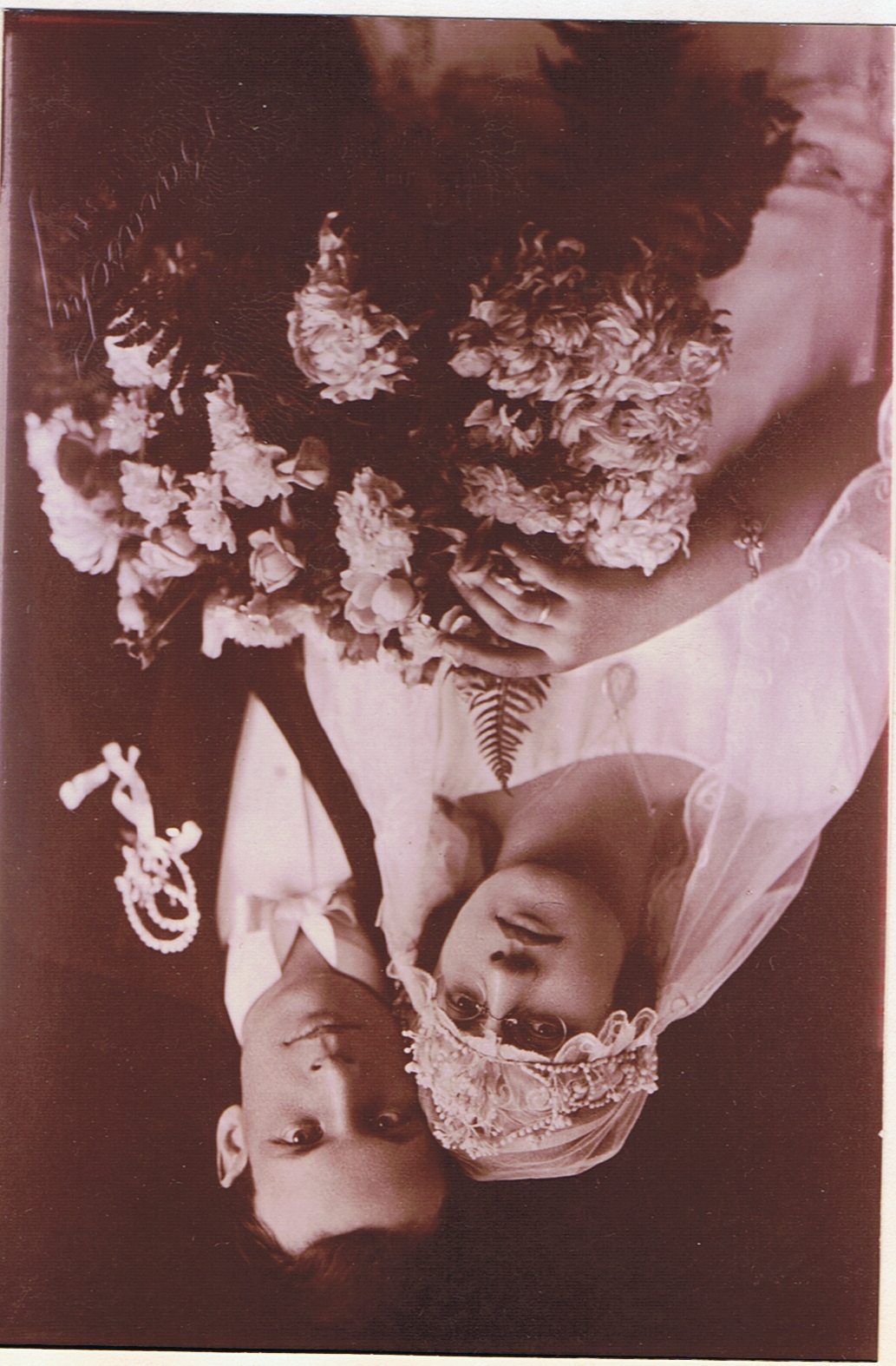 FAMILIA  "CONTE  CHARLES  de  HILLERIN"