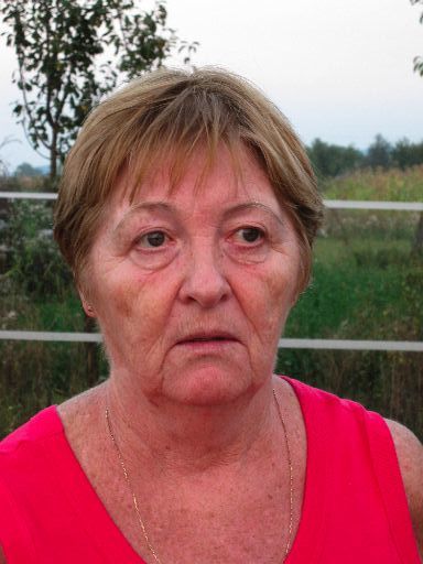 FAMILIA  "CONTE  CHARLES  de  HILLERIN"