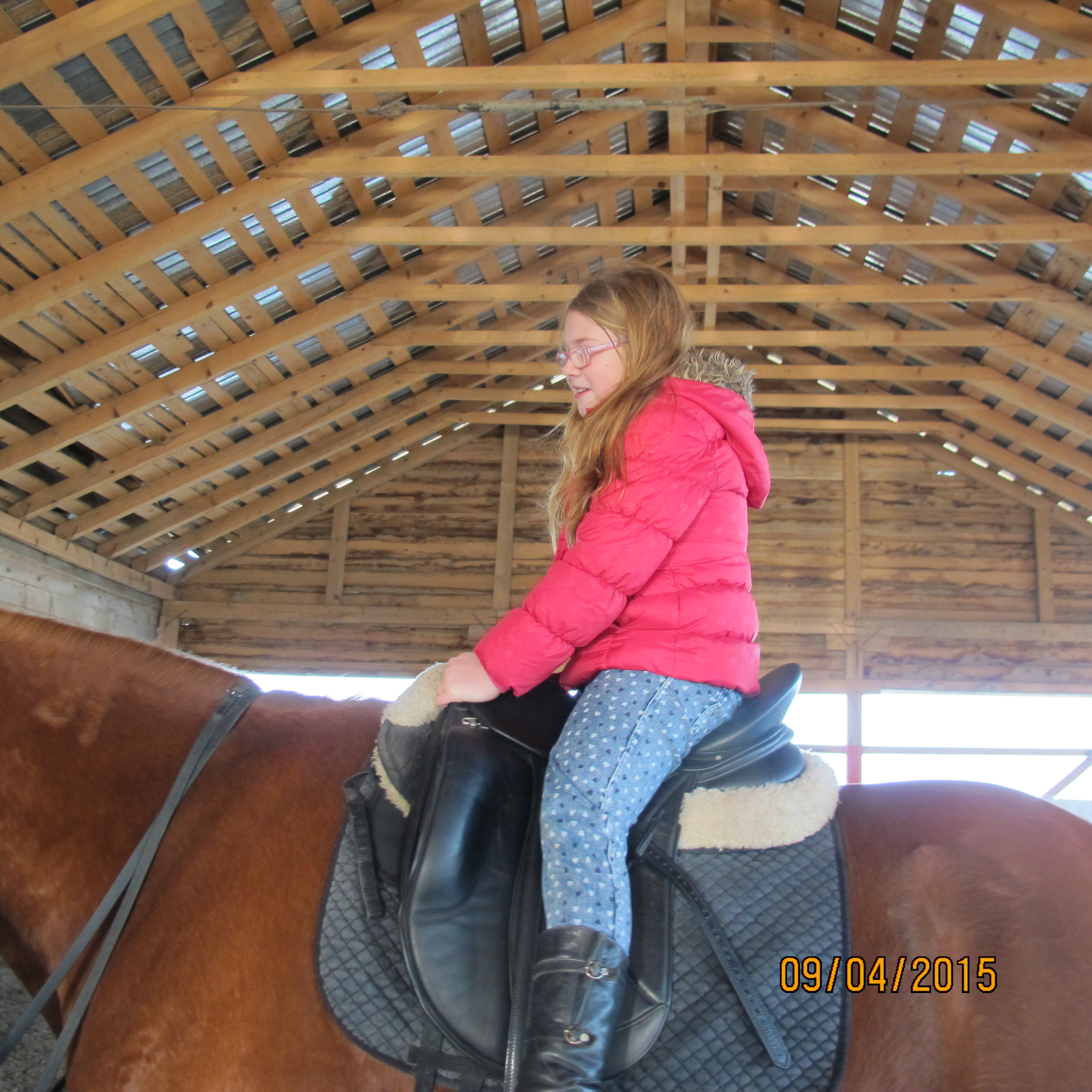 FAMILIA  "CONTE  CHARLES  de  HILLERIN"