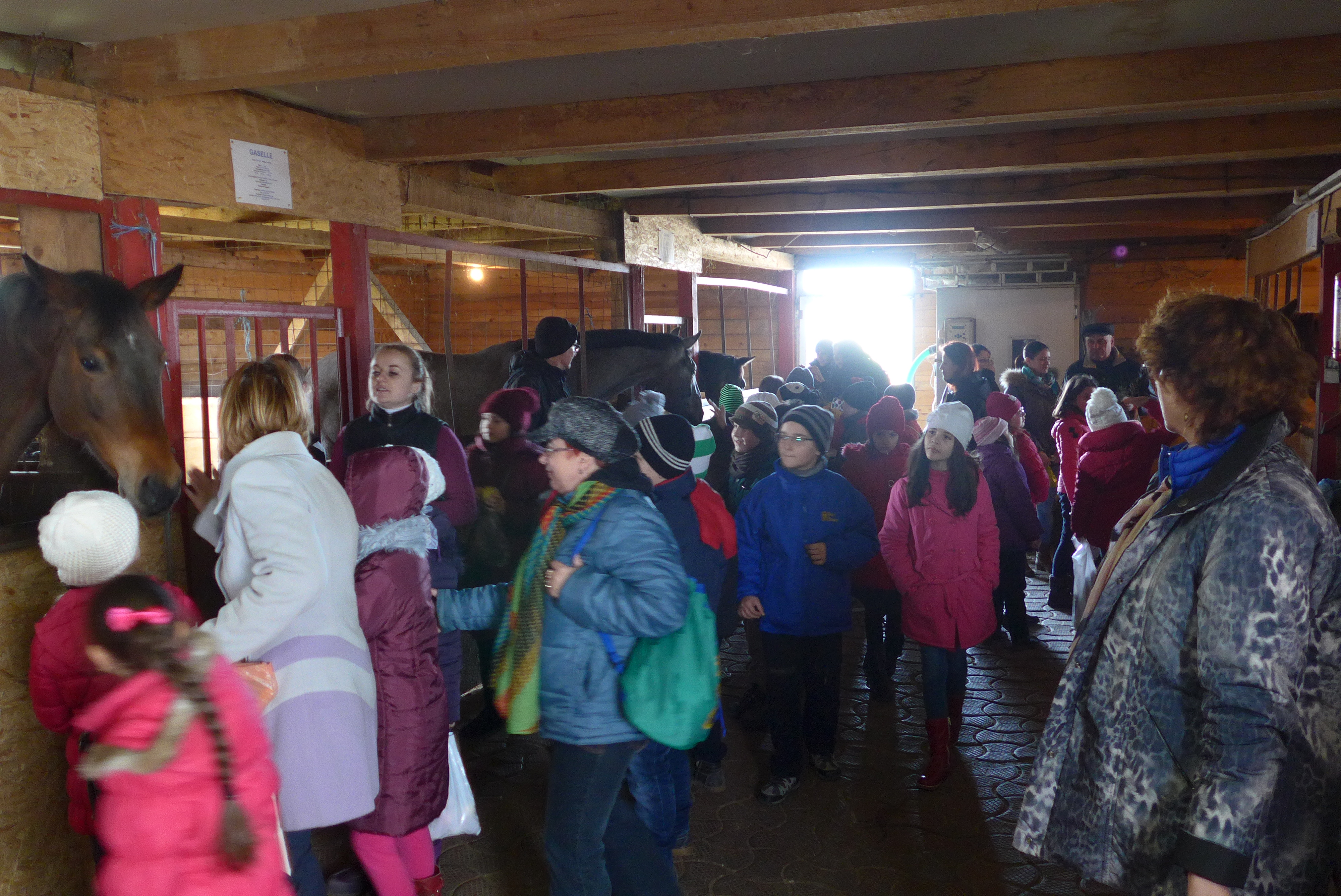 FAMILIA  "CONTE  CHARLES  de  HILLERIN"