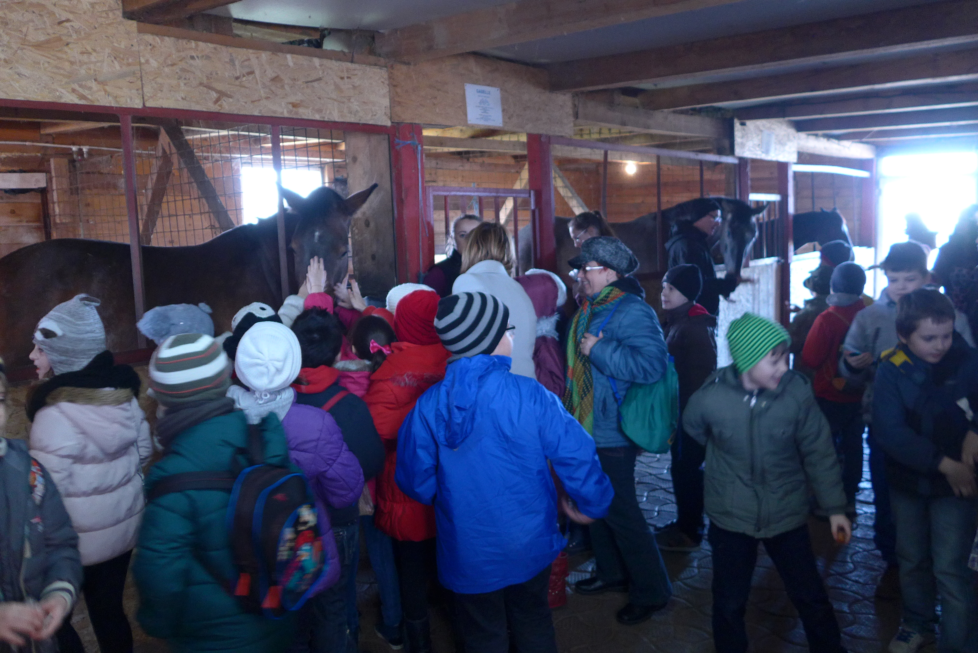 FAMILIA  "CONTE  CHARLES  de  HILLERIN"