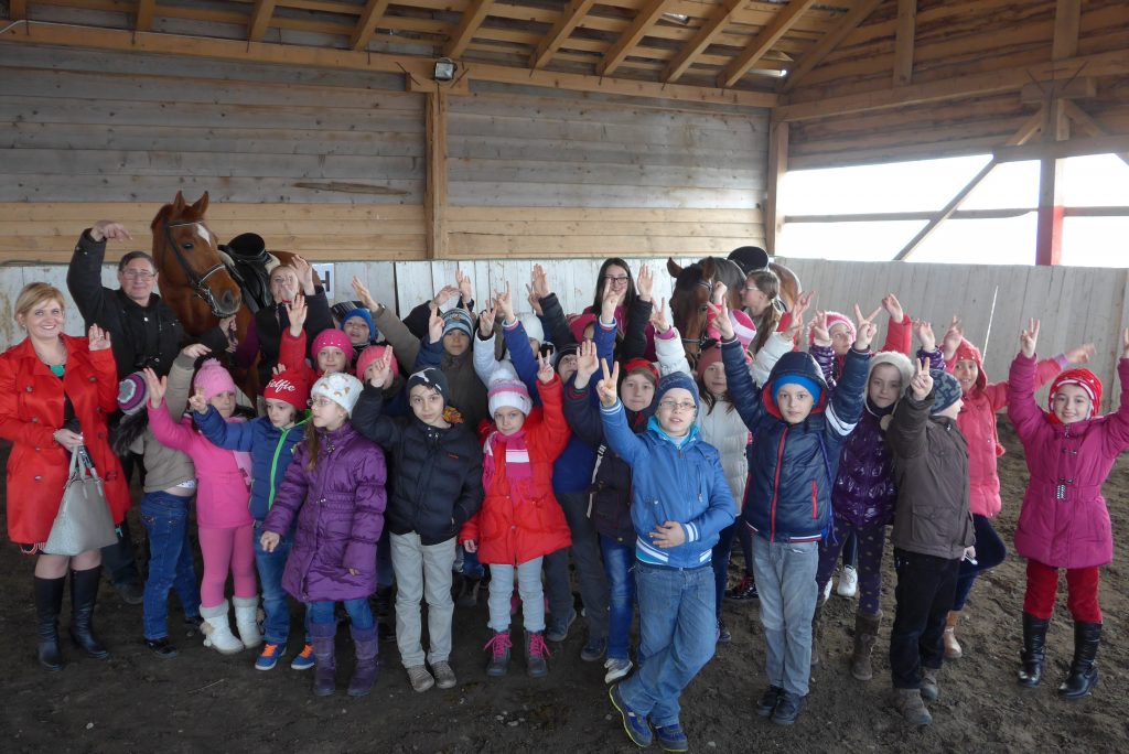 FAMILIA  "CONTE  CHARLES  de  HILLERIN"